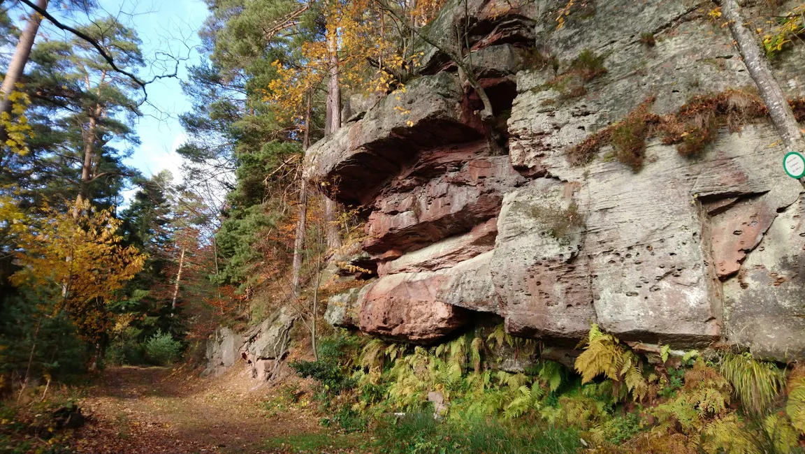 source des corbeaux