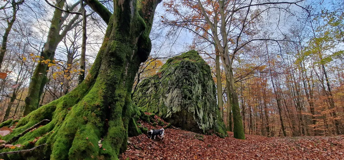 Beilstein