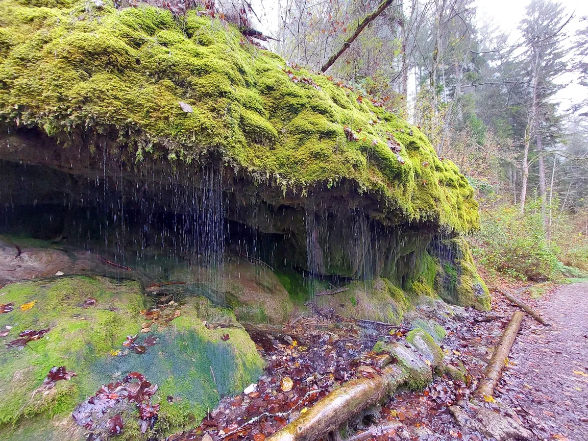 Wutachschlucht