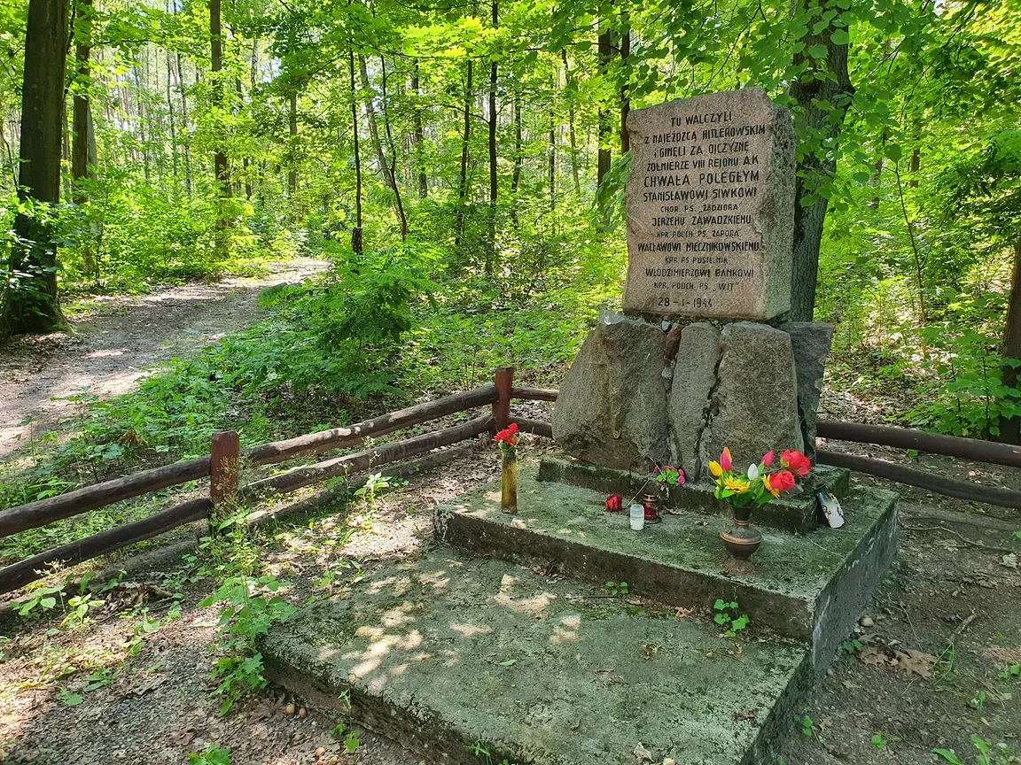Ścieżka dydaktyczna "Wokół Opalenia" - początek