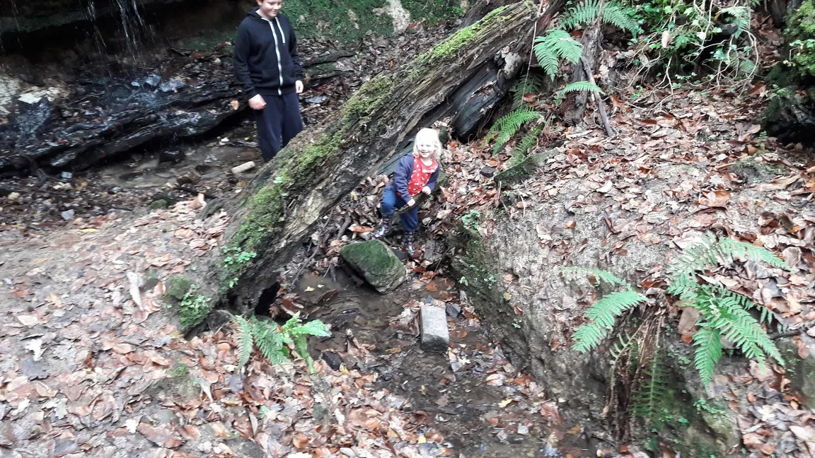 Old Roar Gill