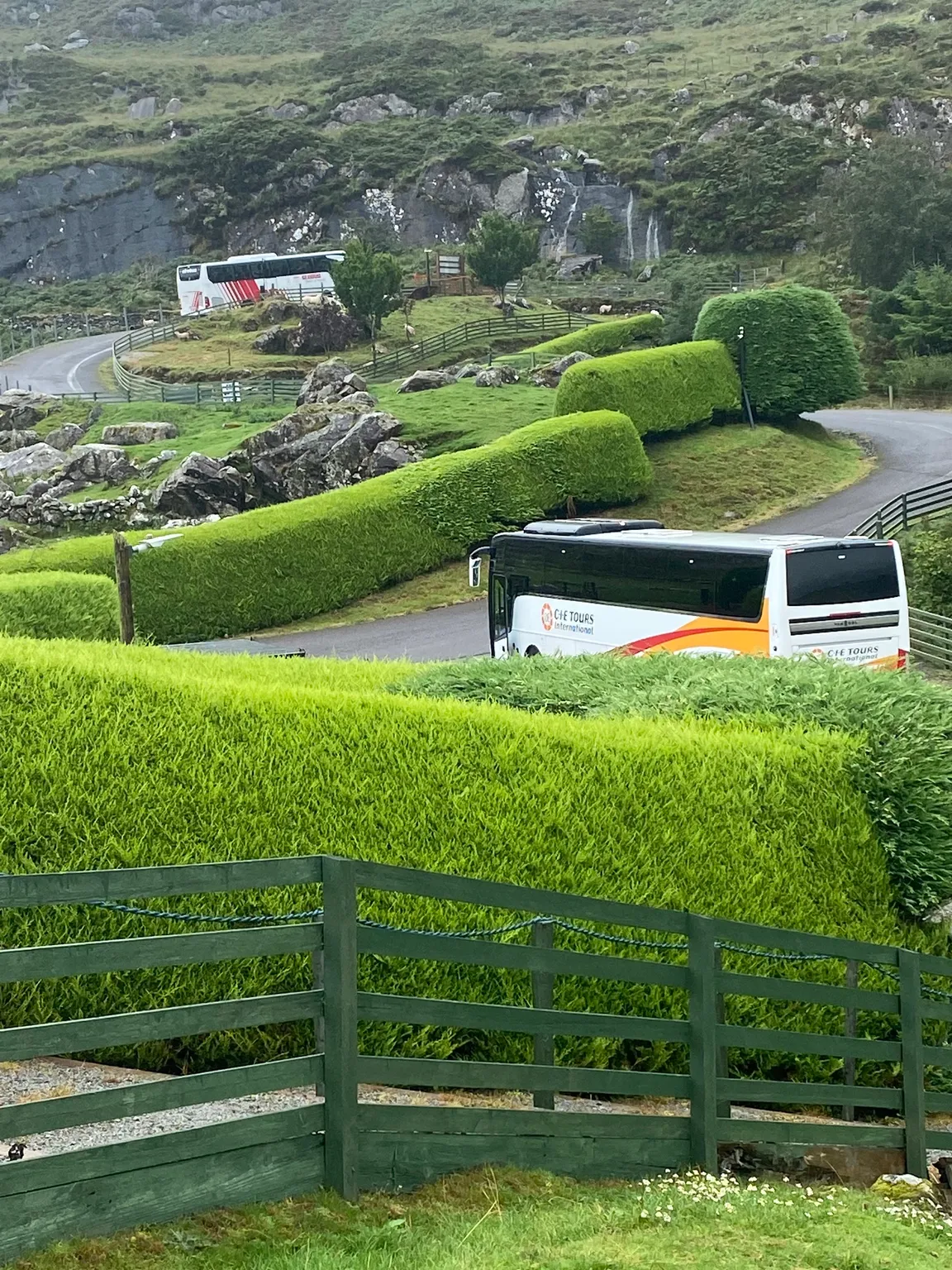 Kissane Sheep Farm