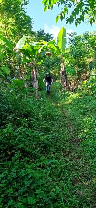 Real bike shop Las terrenas