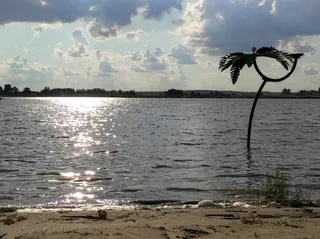 Summerwake