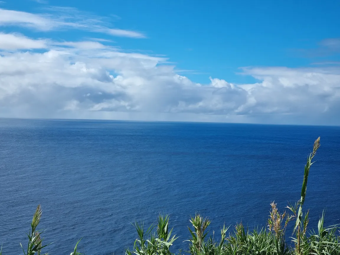 Whaler Lookout Vigia Baleeira da Furada