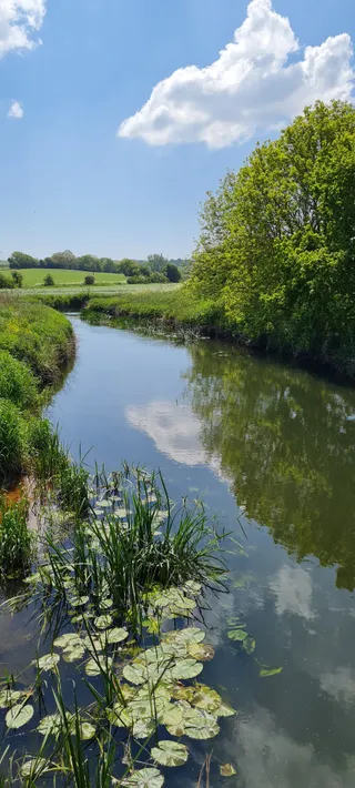 Conningbrook Lakes Country Park
