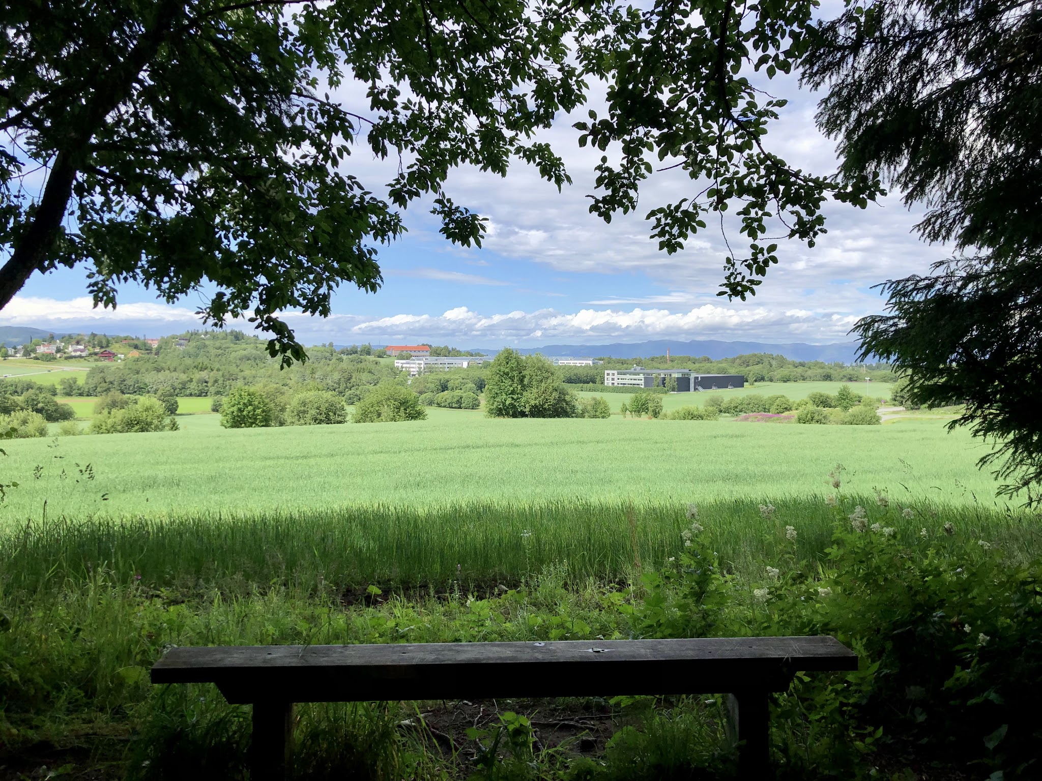 Idrettsbygget Dragvoll Parkeringen | Hopsa