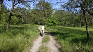 Park Drużby Narodów