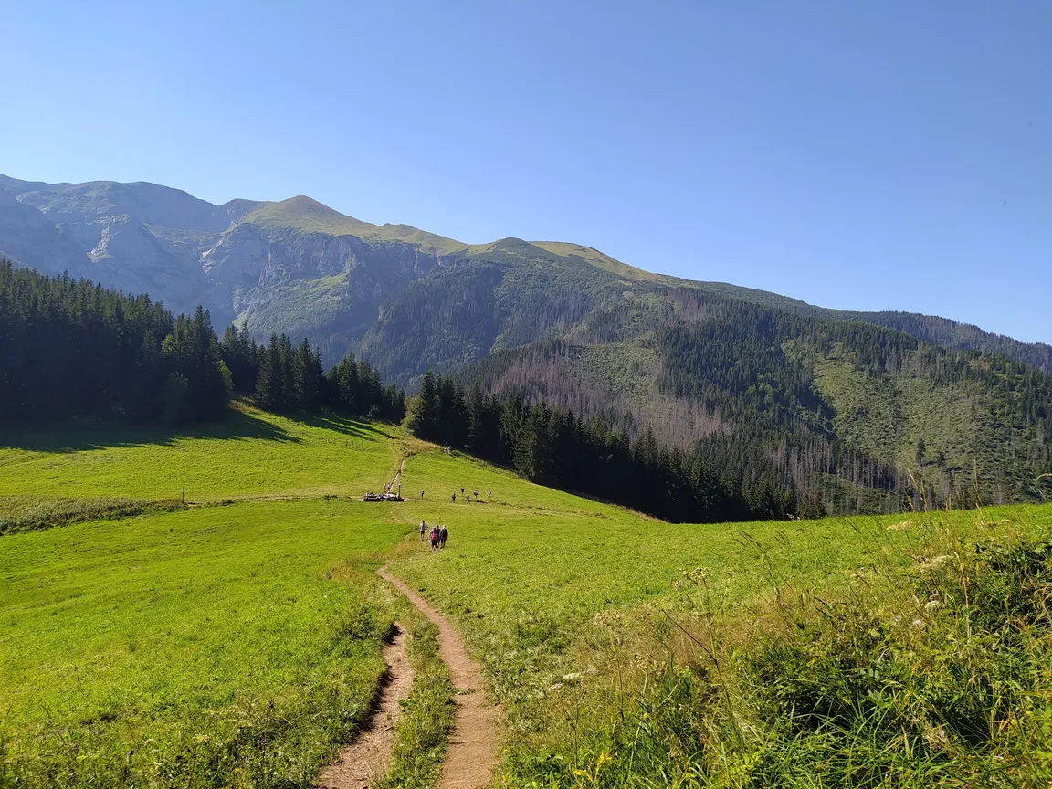 Miętusia Polana