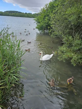 Cosmeston Lakes Country Park & Medieval Village