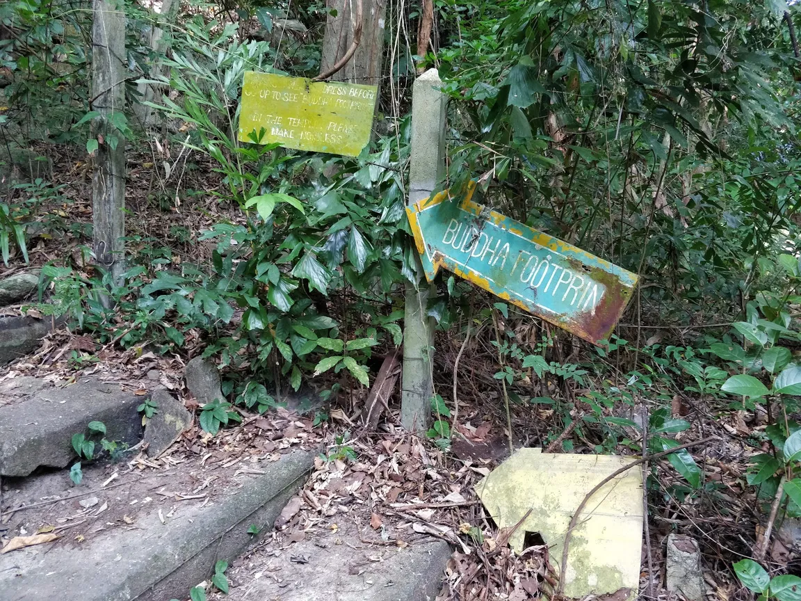 Buddha's Footprint