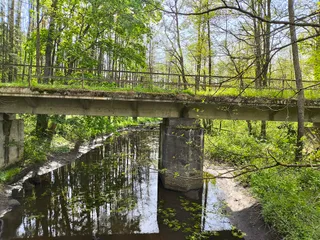 Stara Białowieża