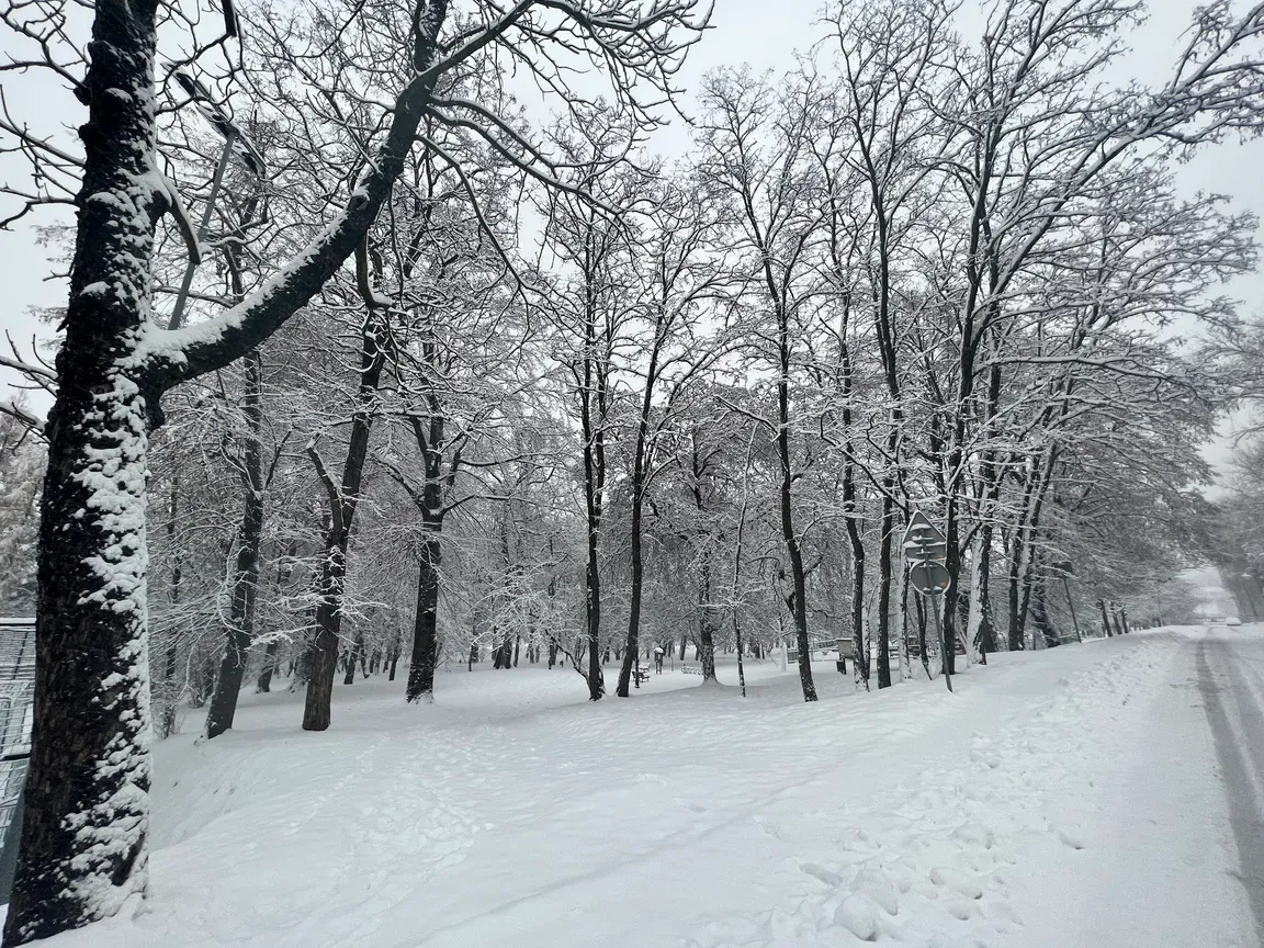 Park Adama Mickiewicza