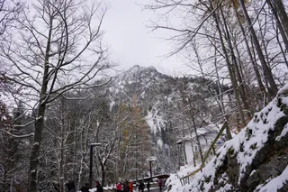 Road to the castle Neuschwanstein