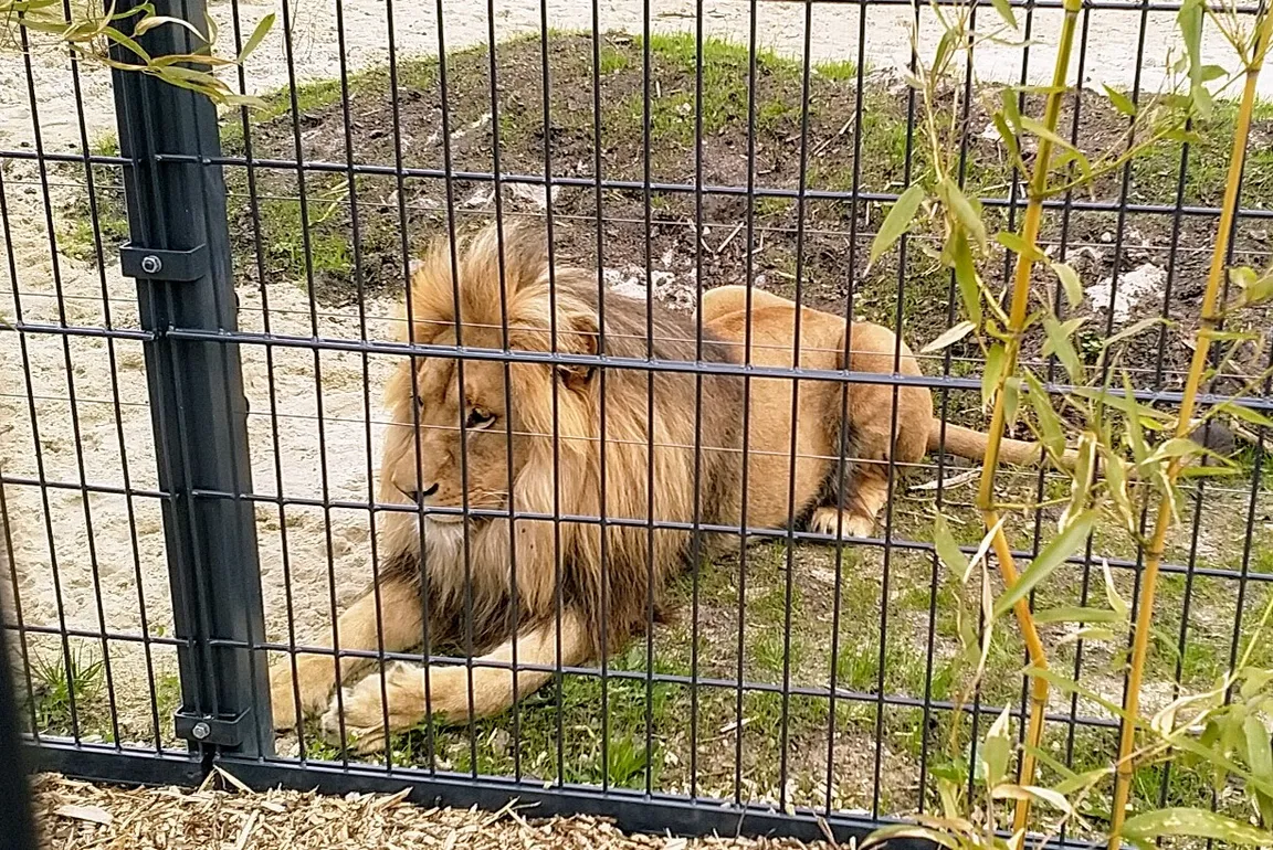 Zoo Opole