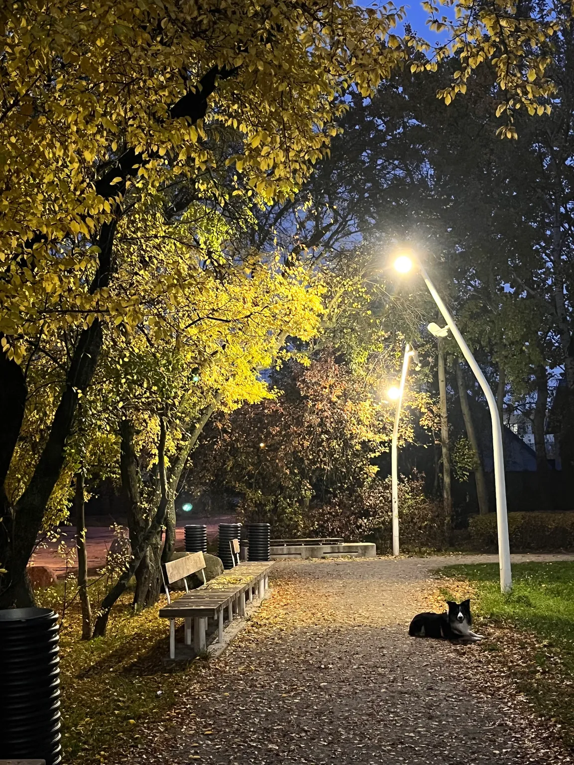 Ekopark Ursus