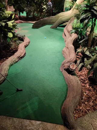 Treetop Golf