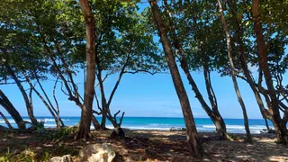 Dominican Surf School