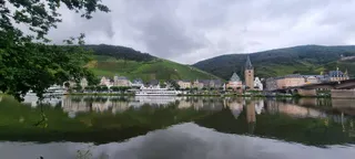 Kardinal Nikolaus von Kues Weingut GmbH