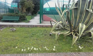 Real Sito Caserta
