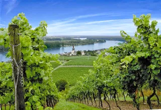 Best Western Wein- und Parkhotel Nierstein
