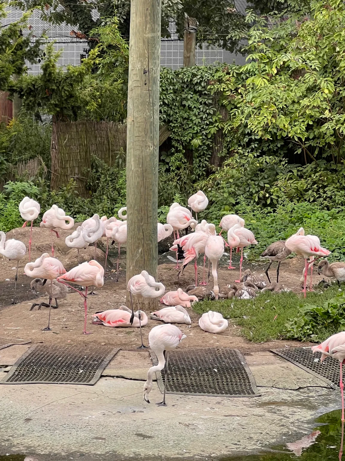 Zoo Opole