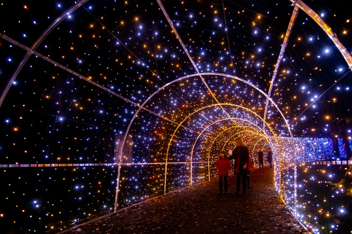 Garden of Lights - Gdynia - Smerfy