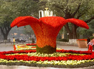 Guangzhou People's Government