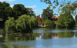 Pomost drewniany nad stawem w Kudowie