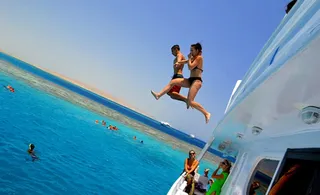 Sealovers tours