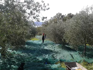Kmetija Dolenc