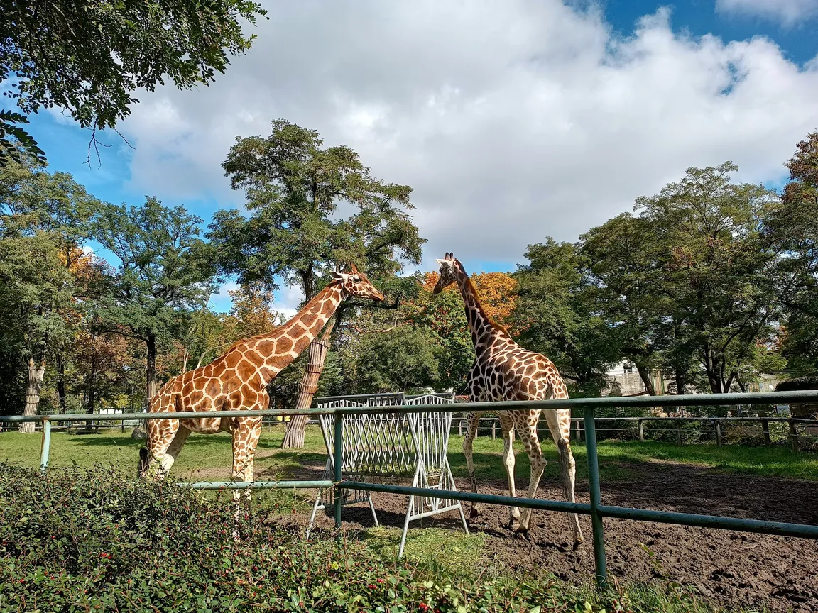 Orientarium ZOO Łódź