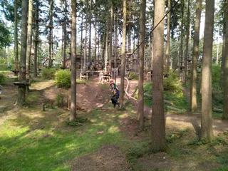 Mosel Adventure Forest