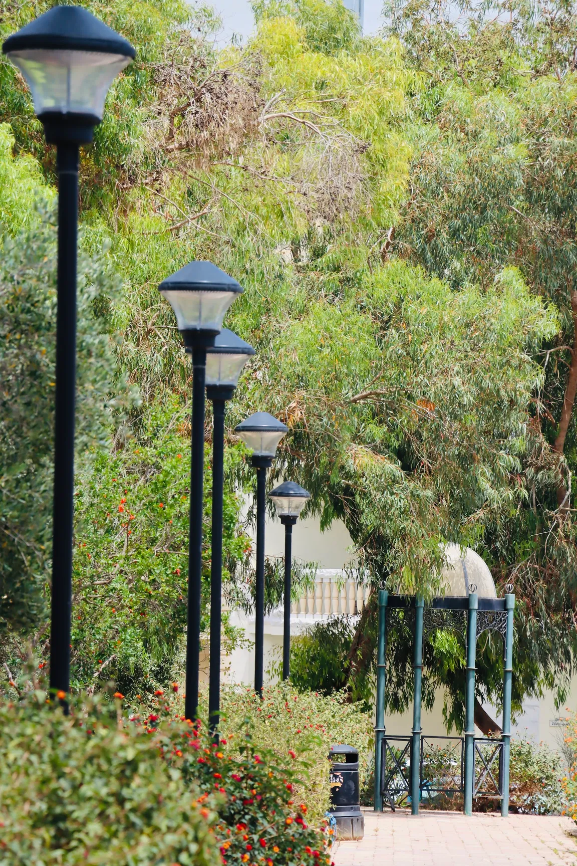 Park