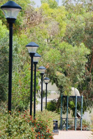 Park