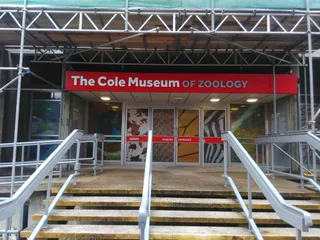 Cole Museum of Zoology