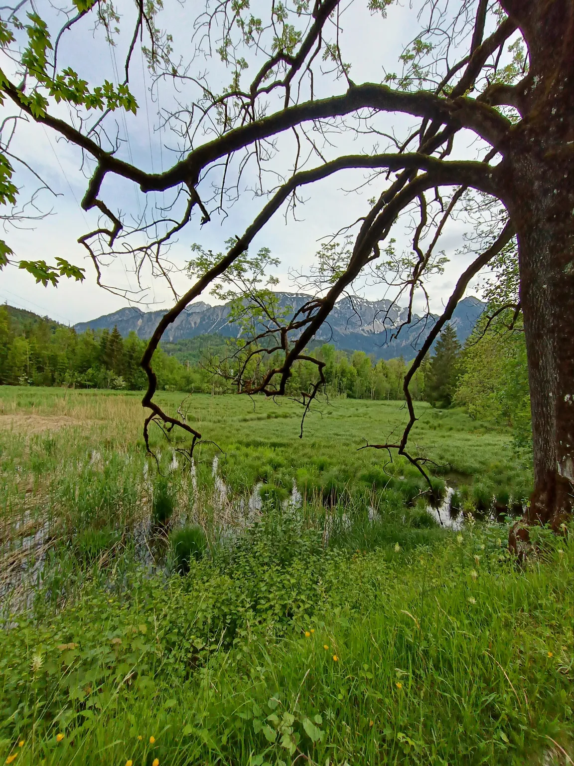 Rad-und Wanderweg