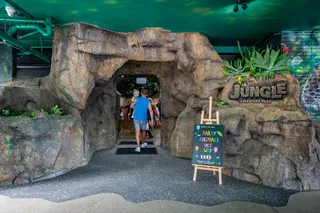 The Jungle Adventure Play Tingalpa