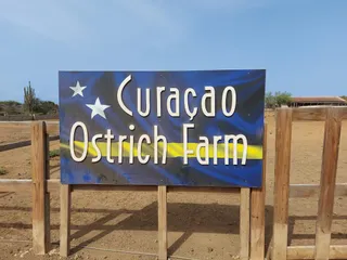 Curaçao Ostrich Farm