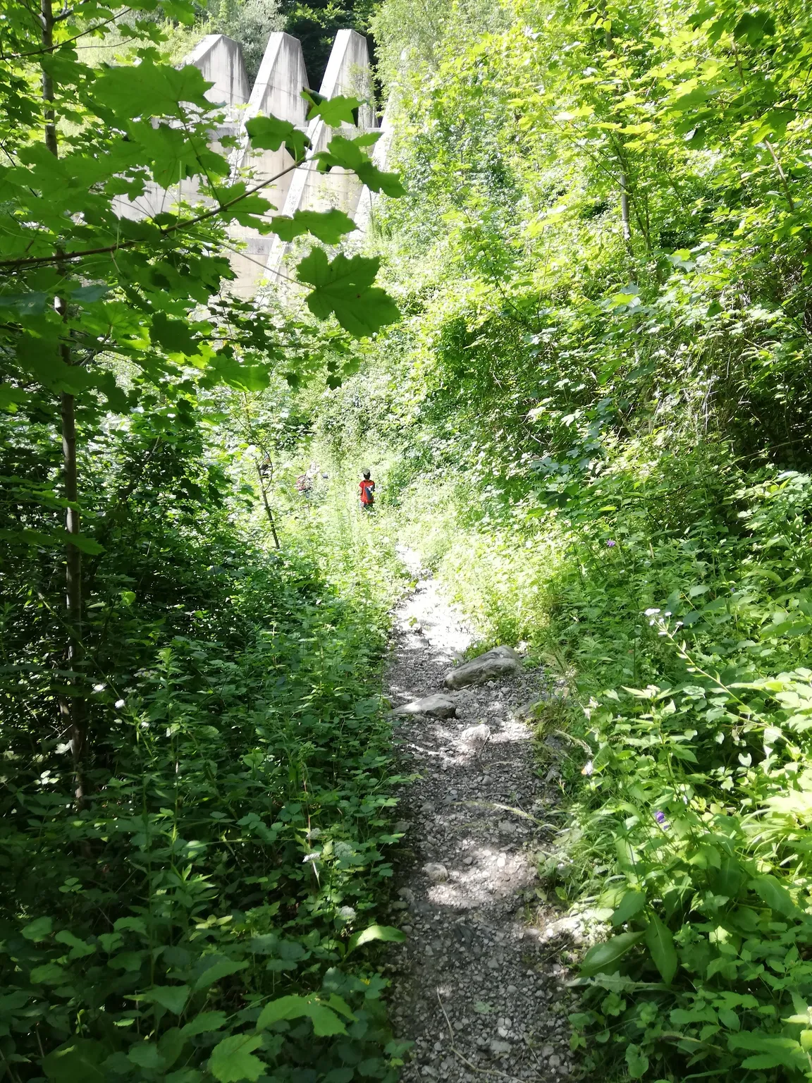 Mühlauer Klamm