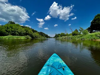 Dzika plaża