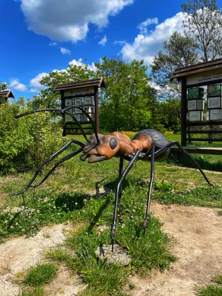 Park Zawilcowa- Zmysły