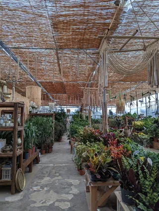 Q Gardens Cy