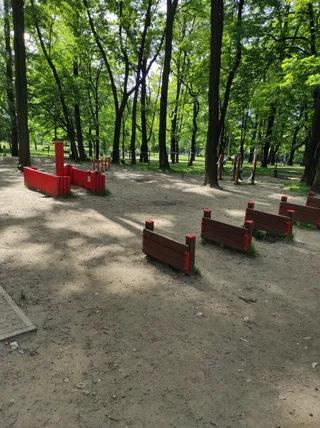 Dog Park - wybieg dla psów