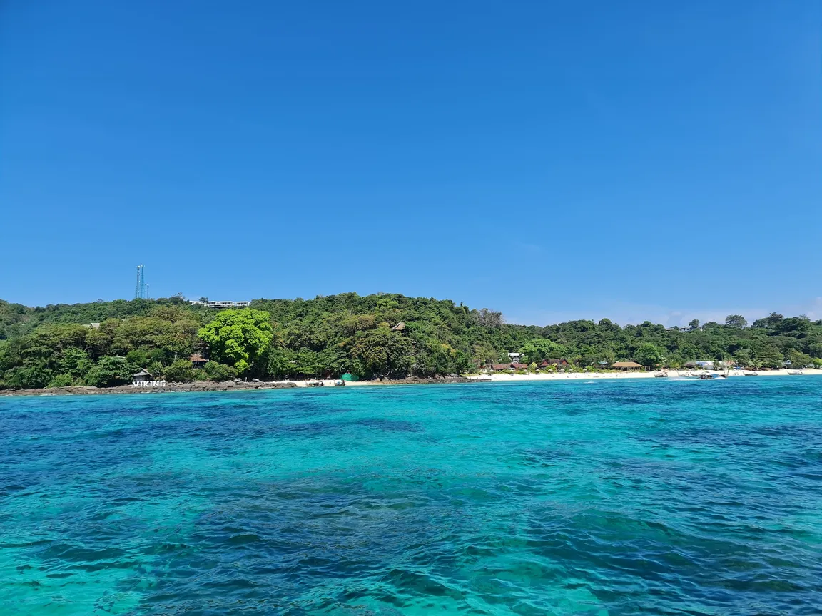Blacktip Reef Shark Point