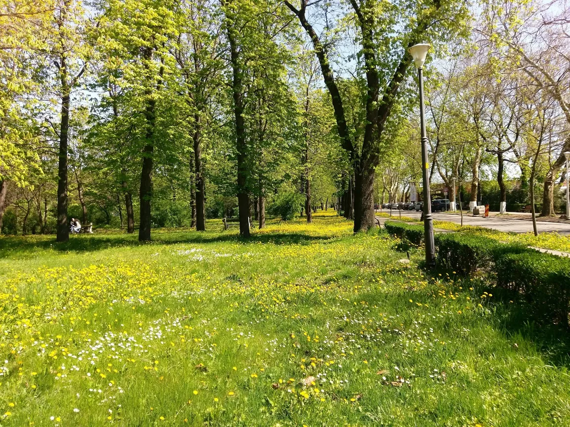 Ion C. Bratianu Park