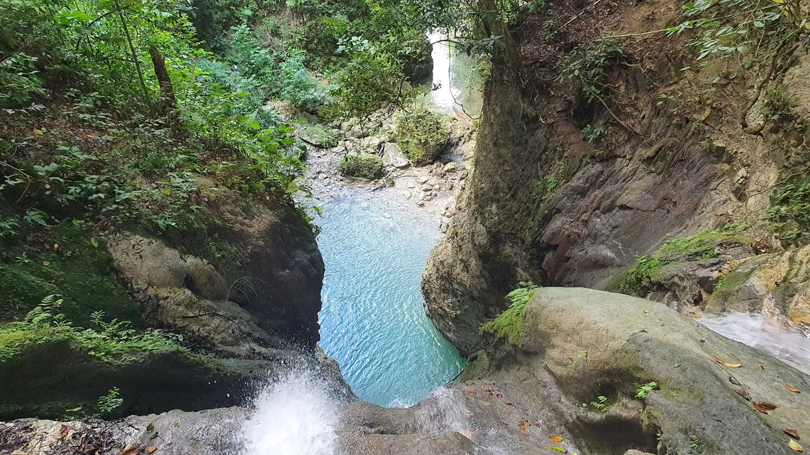 La Rejoya