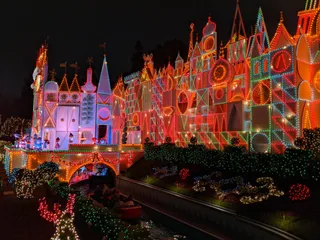 Disneyland Resort