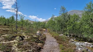 Park Narodowy Rondane