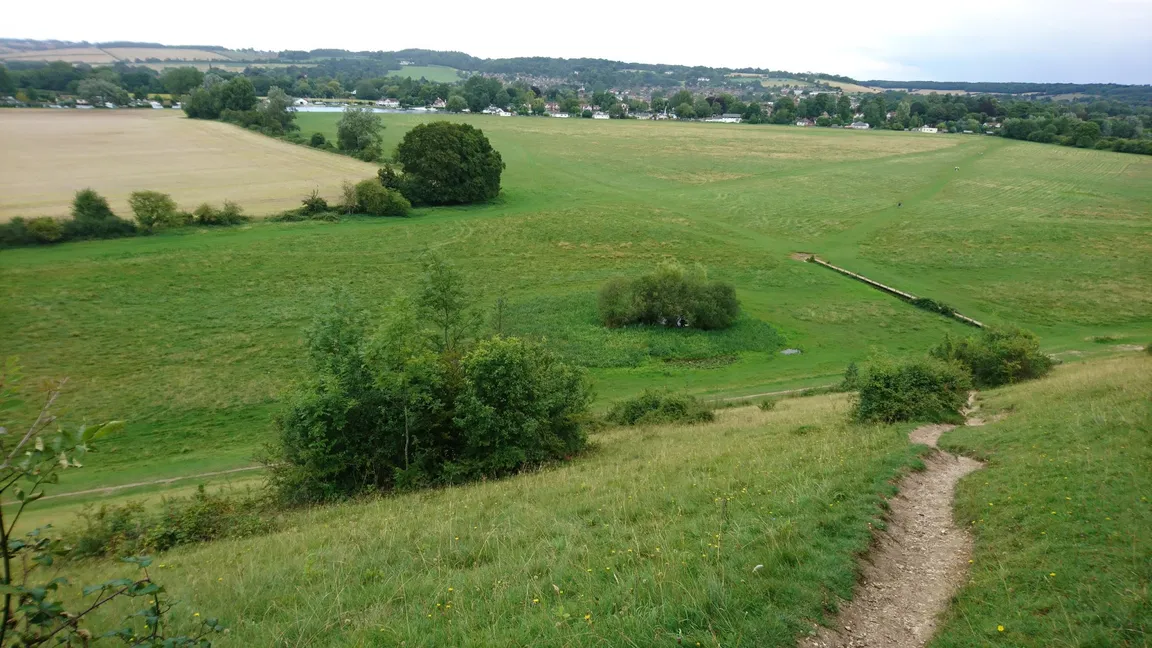 Cock Marsh